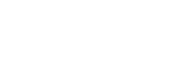 Stirling Scale Footer Logo